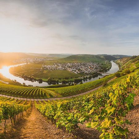Claes Weinquartier - Appartements & Wine By Niko Schmitt Триттенхайм Экстерьер фото