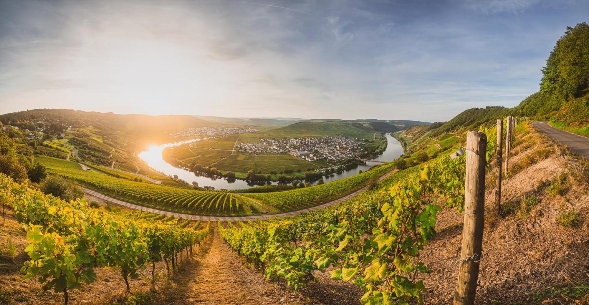 Claes Weinquartier - Appartements & Wine By Niko Schmitt Триттенхайм Экстерьер фото
